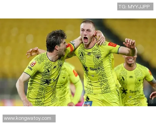 惠灵顿凤凰与纽卡斯尔喷气机精彩对决直播全程回顾与分析 惠灵顿凤凰与纽卡斯尔喷气机精彩对决直播全程回顾与分析